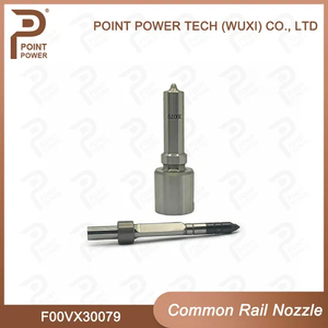 F00vx30079 Diesel Piezo Injector Nozzle, for Injector 0445117030, BMW