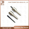 Dsla146p1055/0 433 175 308, Diesel Common Rail Injector Nozzle for Injector 0445110075/135