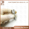 Dsla140p1723/0 433 175 481, Diesel Common Rail Injector Nozzle for Injector 0445120123