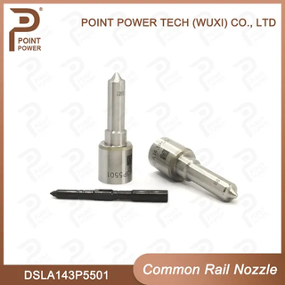 Dsla143p5501, Diesel Common Rail Injector Nozzle for Injector 0 445 120 212