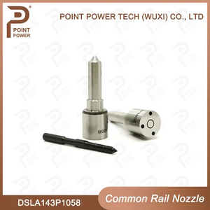 Dsla143p1058/0 433 175 309, Diesel Common Rail Injector Nozzle for Injector 0 445120018/113