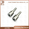 L341prd Diesel Common Rail Nozzle for Injector R00301d