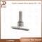 L146pbd Diesel Common Rail Injector Nozzle, for Injectors R05201d / R02701z, Renault