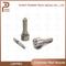 L287pbc Diesel Common Rail Injector Nozzle, for Common Rail Injectors