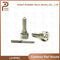 L216pbc Diesel Common Rail Injector Nozzle, for Injector Bebe4d24001, Volvo/Mack