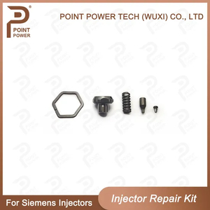 Diesel Control Valve Kit, for Siemens Injectors A2c59513554/5ws40539 etc.