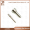 L053pbc Diesel Common Rail Injector Nozzle, for Injector 1742535/Bebj1a00101