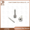 L403pbd Diesel Common Rail Nozzle for Injector 28258683