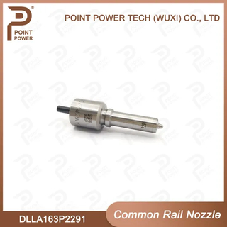 Dlla163p2291/0433172291, Diesel Common Rail Injector Nozzle for Injector 0445110476/477/0986435241