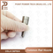 Dsla136p804/0 433 175 203, Diesel Common Rail Injector Nozzle for Injector 0 445120002/0986435501