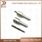 Dsla140p1723/0 433 175 481, Diesel Common Rail Injector Nozzle for Injector 0445120123