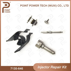 7135-646 Repair Kits, for Injector# R03101d/R05102D, Includes Nozzle# L381pbd and Valve# 28239294