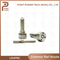 L053pbc Diesel Common Rail Injector Nozzle, for Injector 1742535/Bebj1a00101