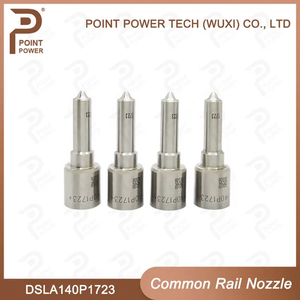 Dsla140p1723/0 433 175 481, Diesel Common Rail Injector Nozzle for Injector 0445120123