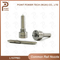 L157pbd Diesel Common Rail Injector Nozzle, for Injector R04701d, Ssangyong